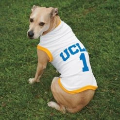 UCLA Pet Basketball Jersey
