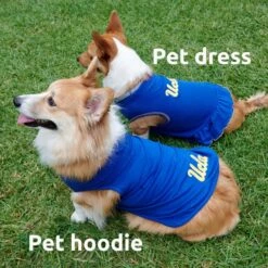 UCLA Script Pet Hoodie -Outlet ModMotive Collective Store 69688 blue 2