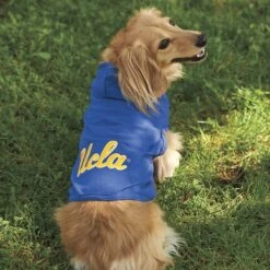 UCLA Script Pet Hoodie