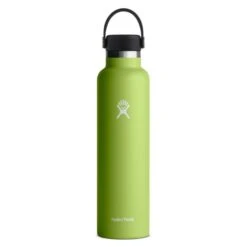 24oz Hydro Flask Bottle -Outlet ModMotive Collective Store 75636 seagrass
