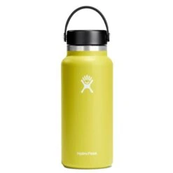 32oz Wide Mouth Hydro Flask -Outlet ModMotive Collective Store 79651 cactus